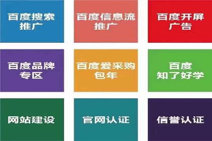 百度推广公司案例解析：如何利用百度推广实现快速转化